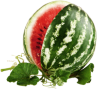 Citrullus lanatus - circolazione e antiossidanti